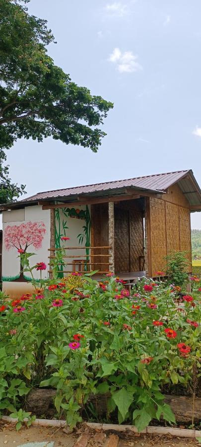 Kaewma Farmstay Khuang Kom Extérieur photo