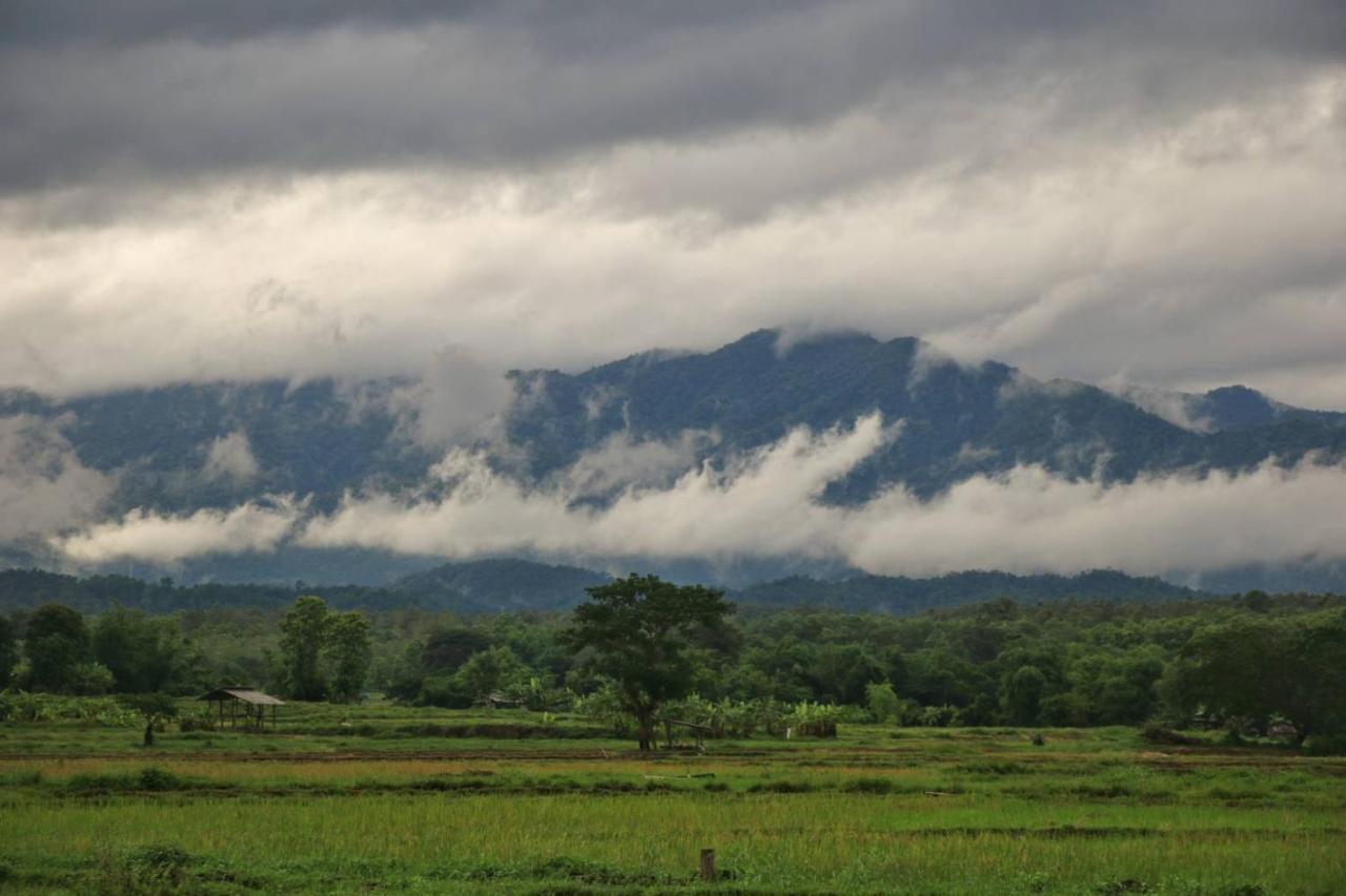 Kaewma Farmstay Khuang Kom Extérieur photo