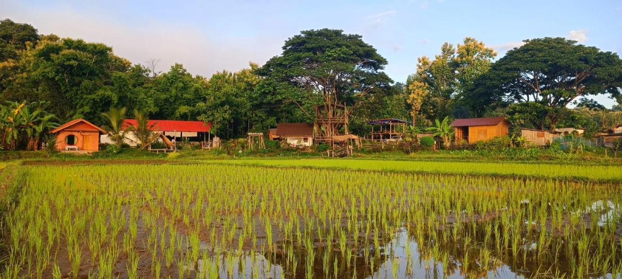 Kaewma Farmstay Khuang Kom Extérieur photo