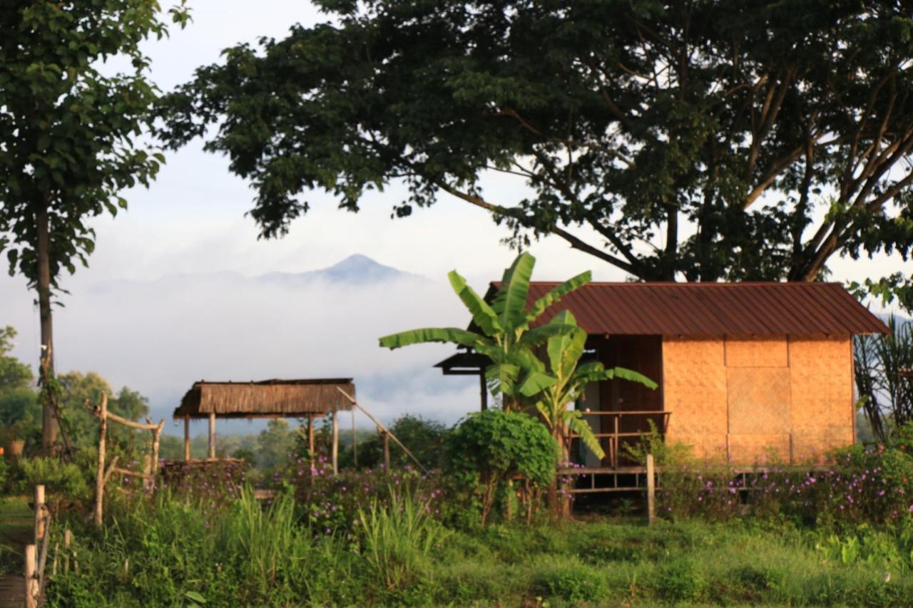 Kaewma Farmstay Khuang Kom Extérieur photo