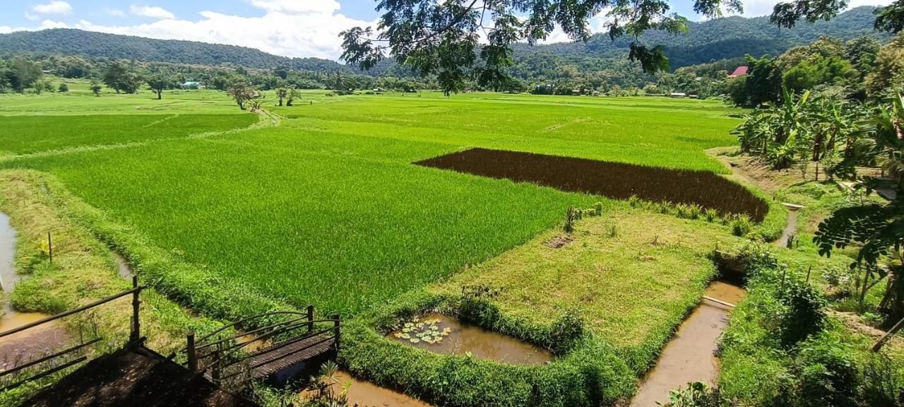 Kaewma Farmstay Khuang Kom Extérieur photo