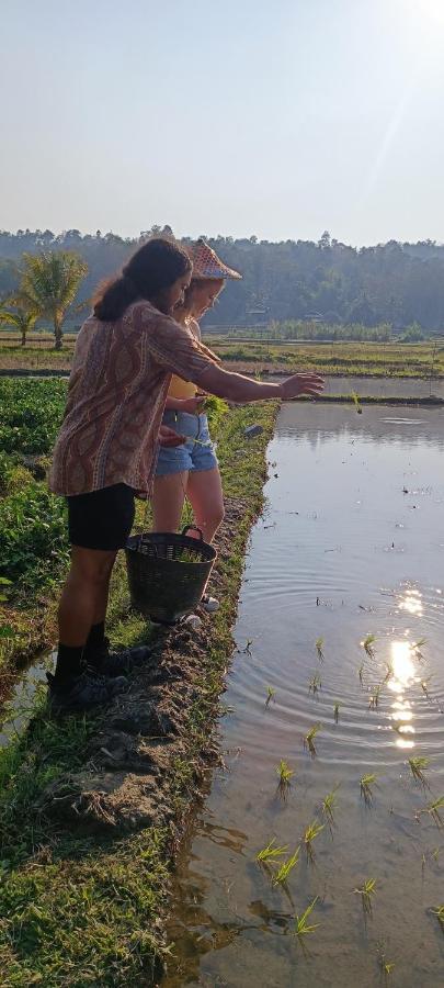 Kaewma Farmstay Khuang Kom Extérieur photo