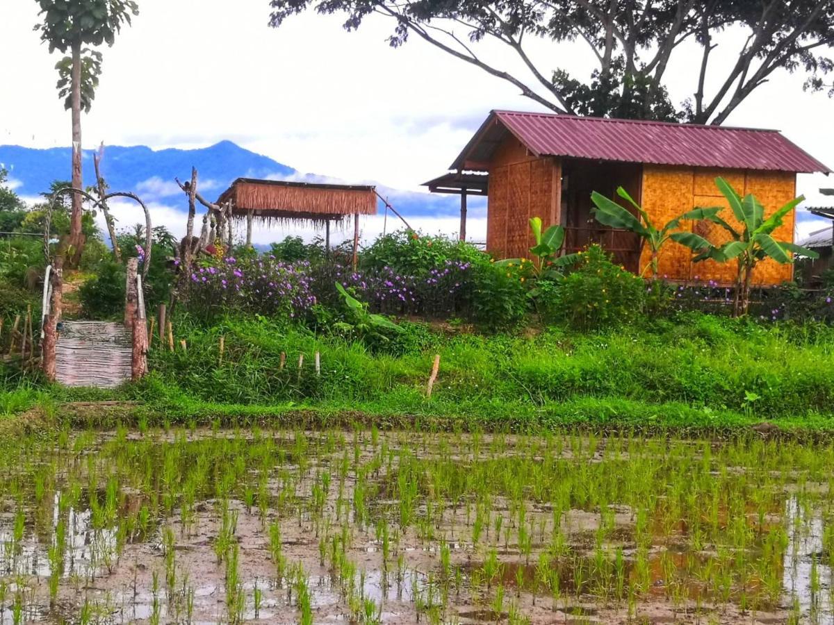 Kaewma Farmstay Khuang Kom Extérieur photo