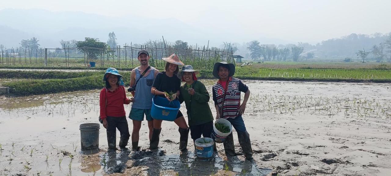 Kaewma Farmstay Khuang Kom Extérieur photo