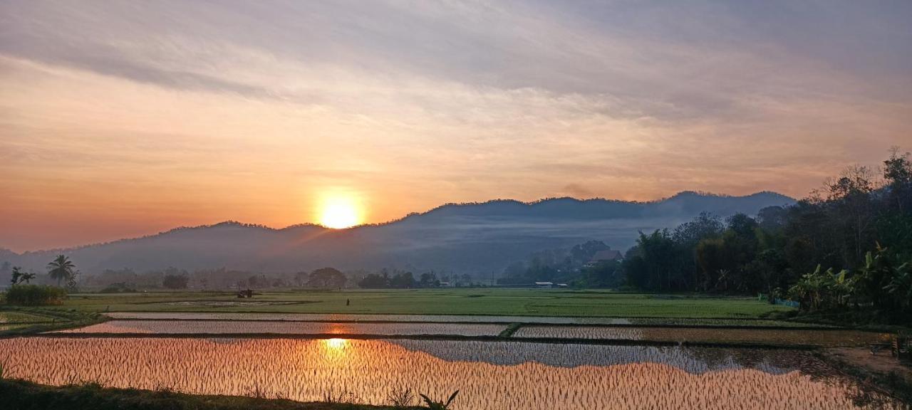 Kaewma Farmstay Khuang Kom Extérieur photo