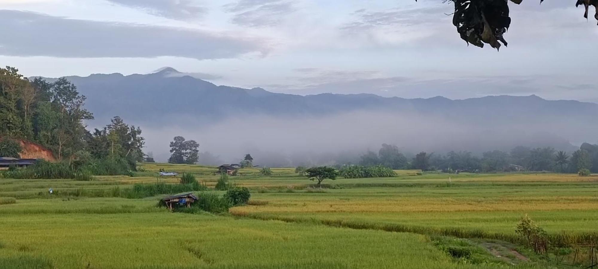 Kaewma Farmstay Khuang Kom Extérieur photo