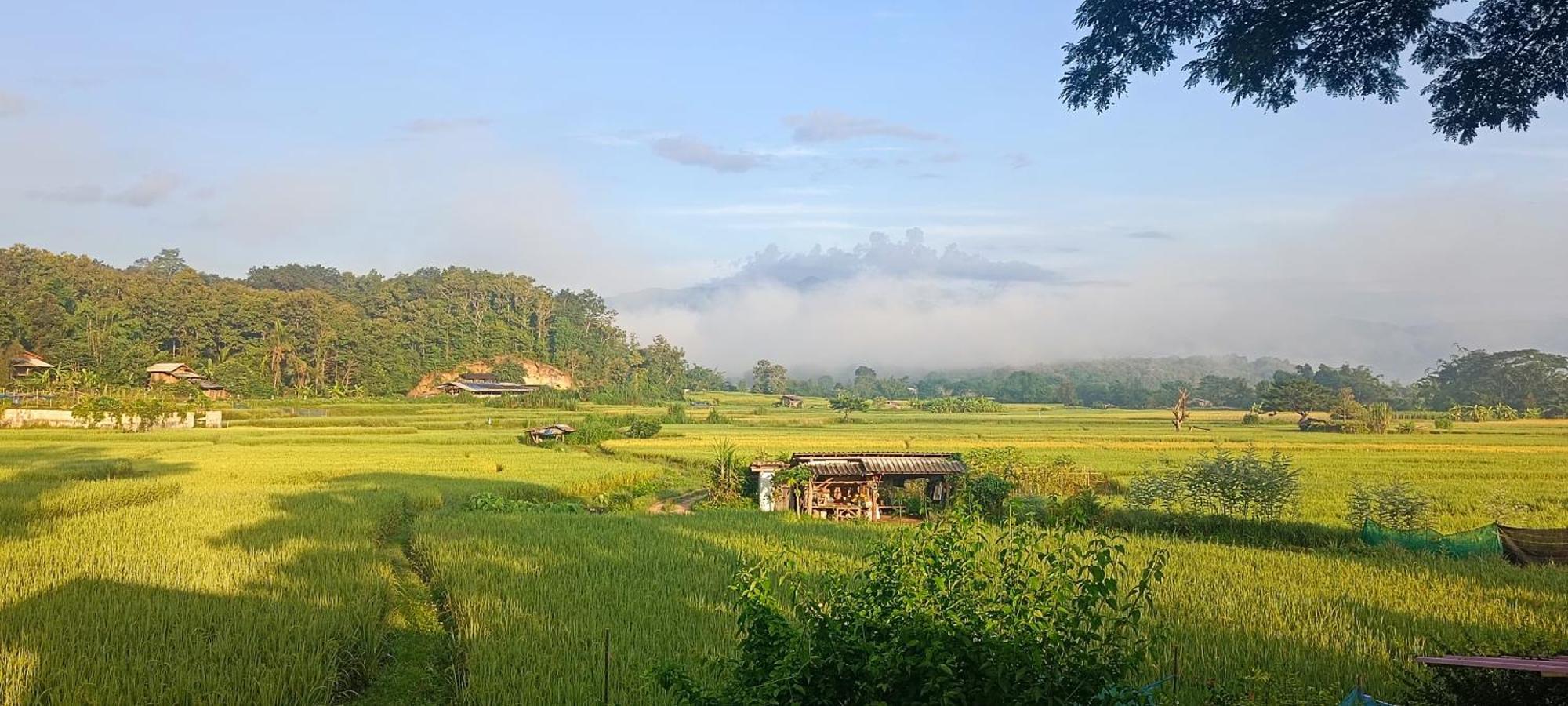 Kaewma Farmstay Khuang Kom Chambre photo